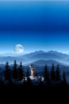 Stoff Panel 3er Wolf Wölfe blau